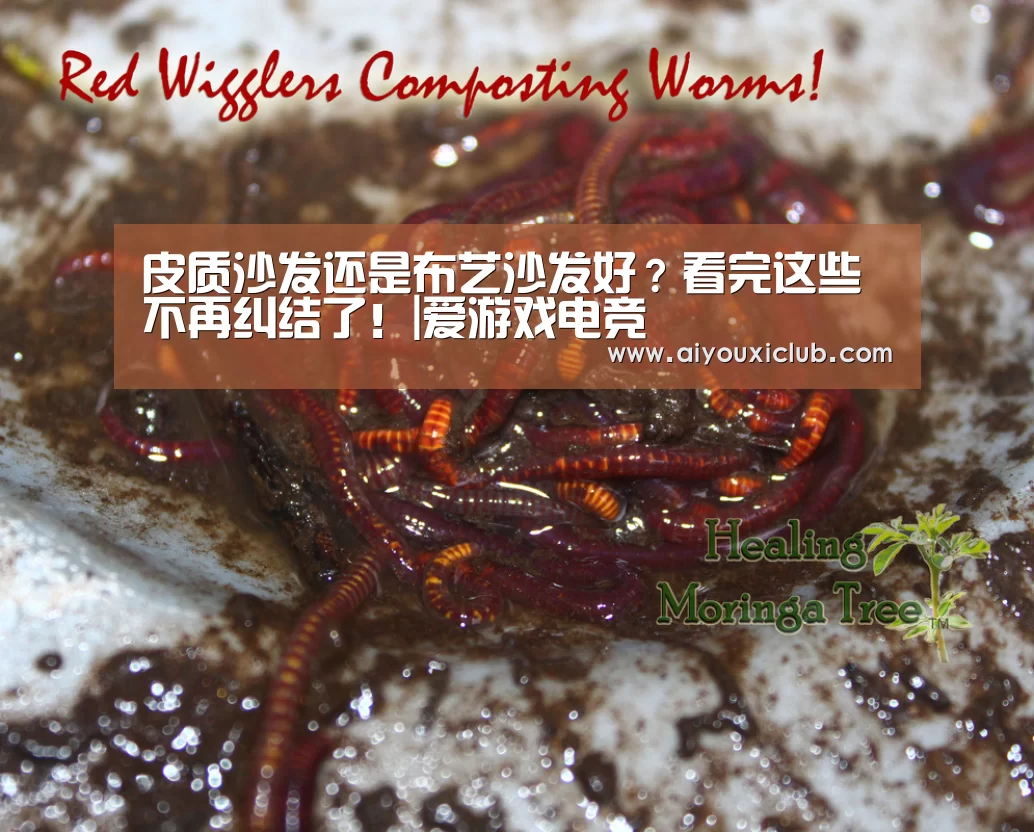 爱游戏娱乐