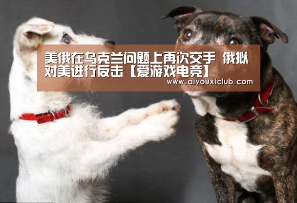 爱游戏赛事